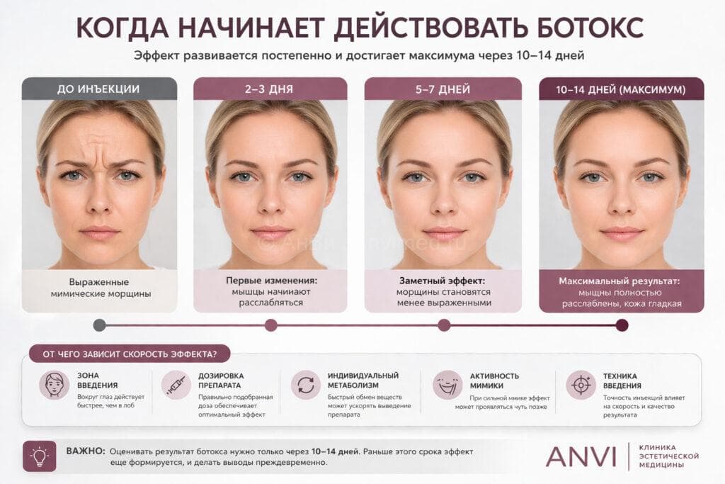 Когда начинает действовать ботокс — через сколько виден эффект